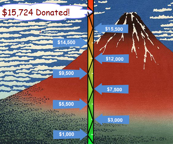 Project Fuji Fundraising Total